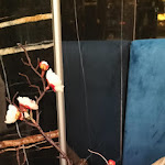 Photo n°16 de l'avis de Francesco.a fait le 28/06/2023 à 12:15 sur le  Yuki Sushi Noto à Noto