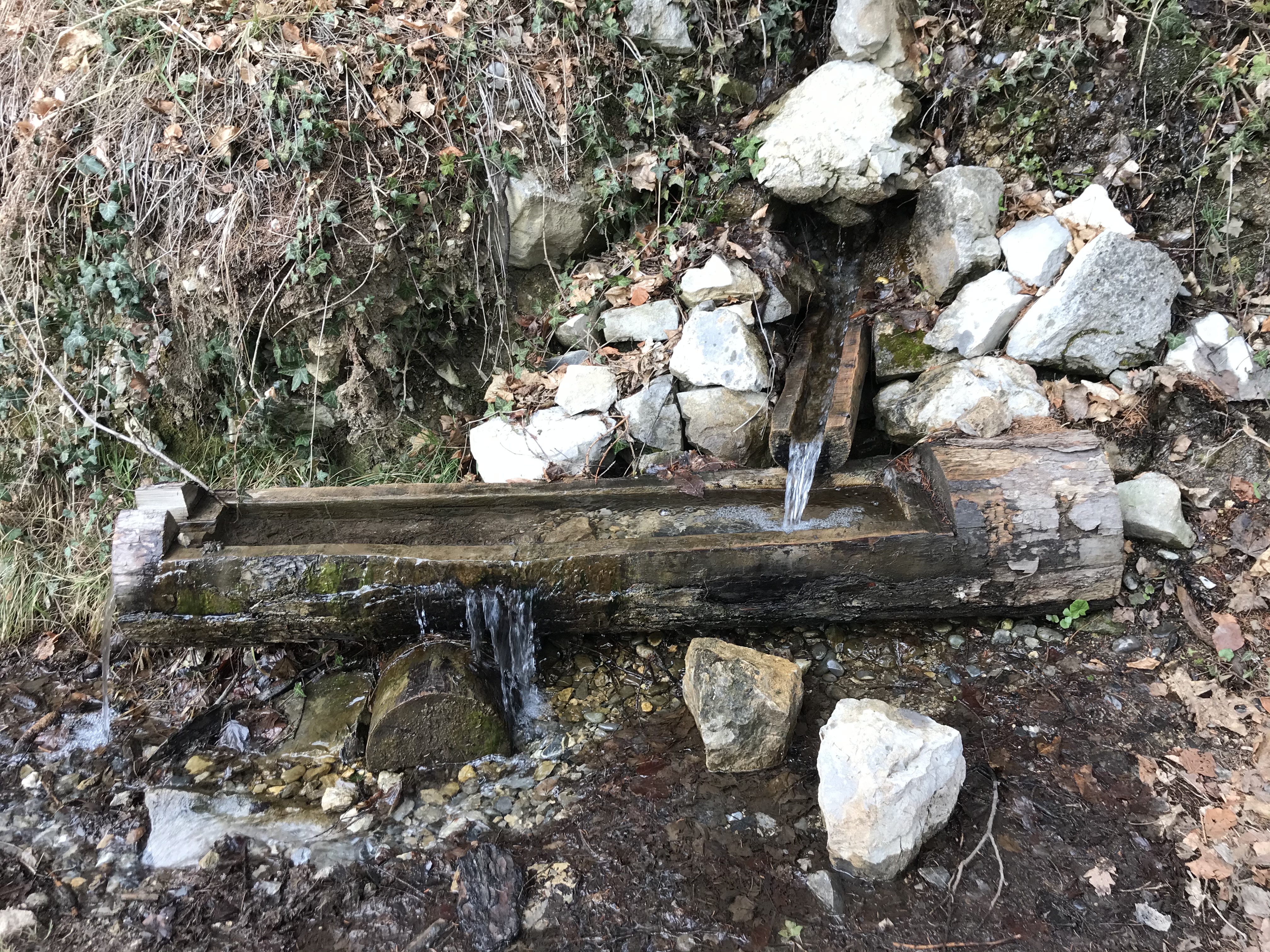 Photo n° 4 de l'avis de Bastien.a fait le 05/03/2021 à 06:20