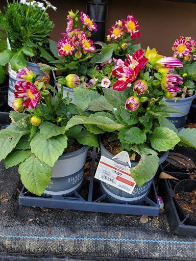 Department Store «Walmart Supercenter», reviews and photos, 700 James Madison Hwy, Warrenton, VA 20186, USA