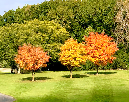 Golf Course «George Dunne National Golf Course», reviews and photos, 16310 Central Ave, Oak Forest, IL 60452, USA