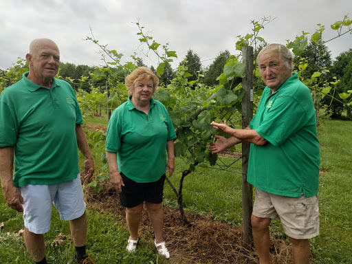 Winery «Lebanon Green Vineyards», reviews and photos, 589 Exeter Rd, Lebanon, CT 06249, USA