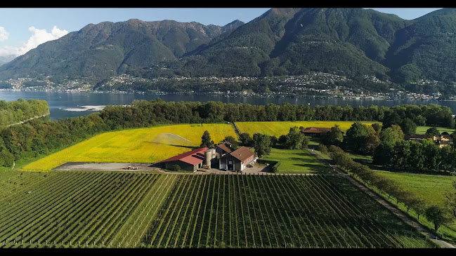 Rezensionen über Terreni alla Maggia SA in Bellinzona - Spirituosengeschäft