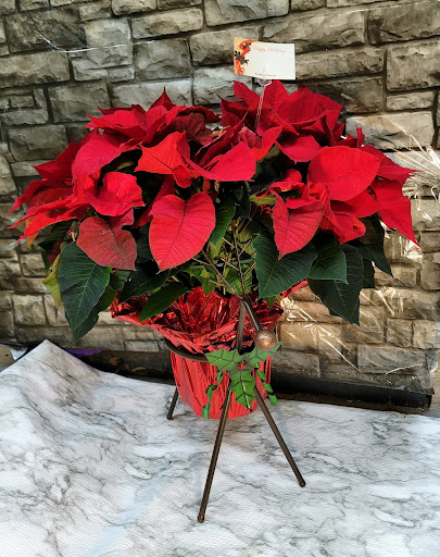 Florist «Sunshine Flowers», reviews and photos, 6230 Stumph Rd, Parma Heights, OH 44130, USA