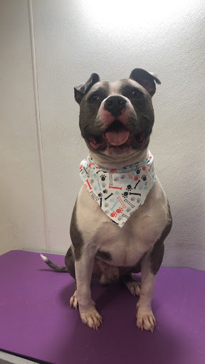 Pet Supply Store «Animal House Grooming & Quality», reviews and photos, 229 W Absecon Blvd, Absecon, NJ 08201, USA