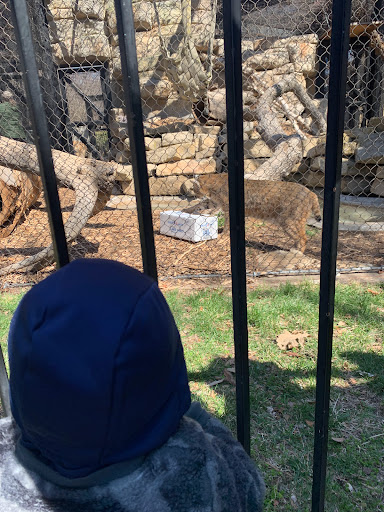 Zoo «Kansas Wildlife Exhibit», reviews and photos, 600-630 Nims N, Wichita, KS 67203, USA