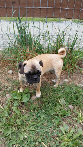 Park «Morrill Meadows Park», reviews and photos, 10600 SE 248th St, Kent, WA 98030, USA