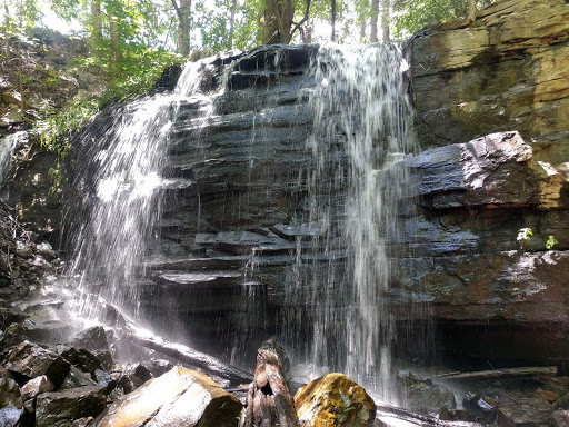 Park «Bays Mountain Park & Planetarium», reviews and photos, 853 Bays Mountain Rd, Kingsport, TN 37660, USA