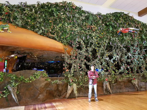 Outlet Store «Express Factory Outlet», reviews and photos, 3000 Grapevine Mills Pkwy, Grapevine, TX 76051, USA