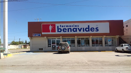 Farmacia Benavides Tecnológico, , Nuevo Casas Grandes