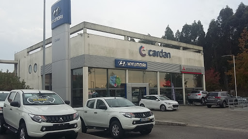 CARDAN Porto - Hyundai | Mazda | Jeep | Alfa Romeo | Fiat | Abarth