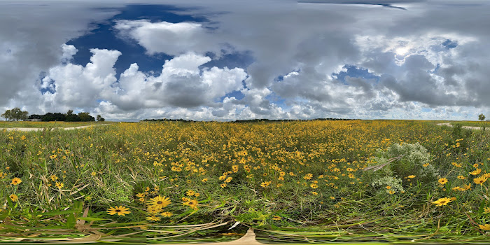 Park near Countryside Inn Sealy
