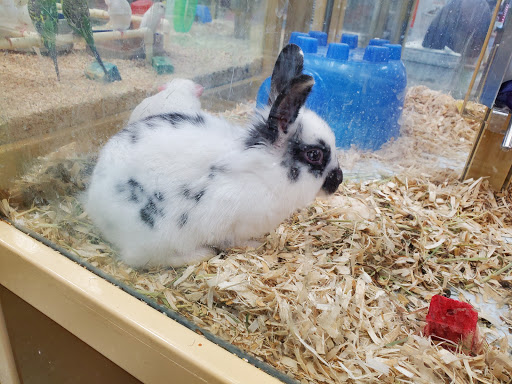 Pet Supply Store «Pet Supermarket», reviews and photos, 7070 College Pkwy, Fort Myers, FL 33907, USA