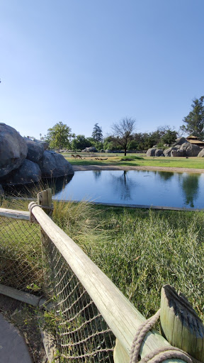 Zoo «Fresno Chaffee Zoo», reviews and photos, 894 W Belmont Ave, Fresno, CA 93728, USA