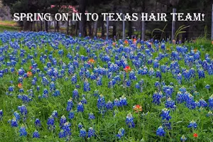 Texas Hair Team - Conroe image