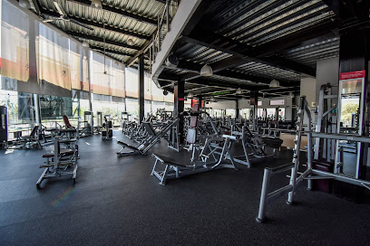 Elite Gym Wellness Center - Blvrd Camino Real #351, Jardines Vista Hermosa III, 28040 Colima, Col., Mexico