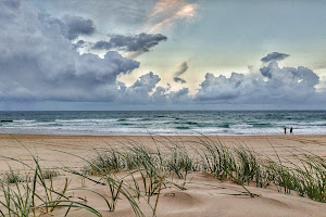 Gold Coast beach