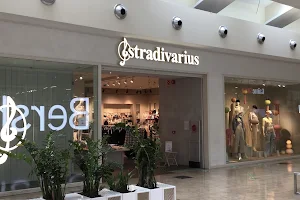 Stradivarius image