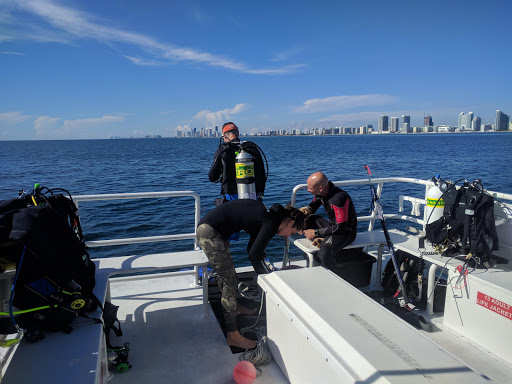 Dive Shop «Sea Experience Glassbottom Snorkel and Dive Tours», reviews and photos, 801 Seabreeze Blvd, Fort Lauderdale, FL 33316, USA