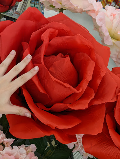 Craft Store «Hobby Lobby», reviews and photos, 2858 Virginia Beach Blvd, Virginia Beach, VA 23452, USA