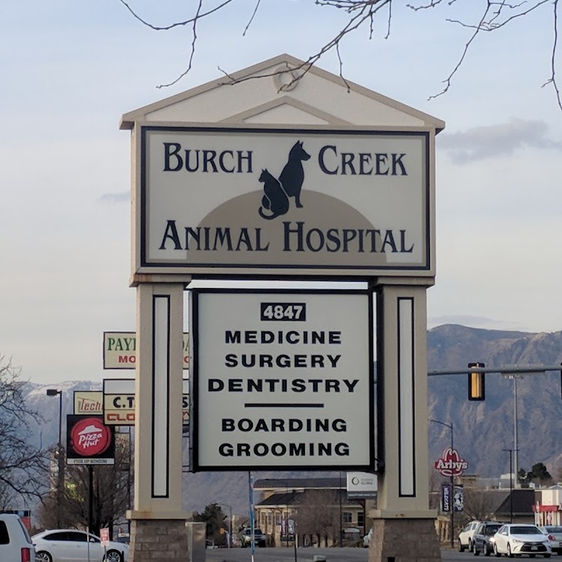 Burch Creek Animal Hospital