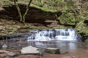 Monbachschlucht Bad Liebenzell image