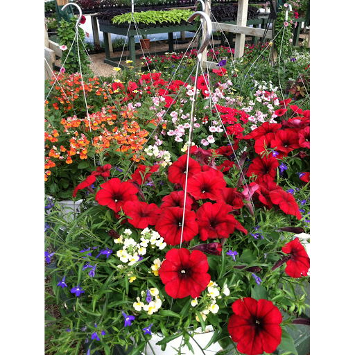 Garden Center «Hildebrant Farmers Market», reviews and photos, 349 Main Ave E, West Fargo, ND 58078, USA