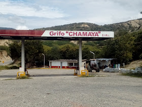 Grifo Chamaya
