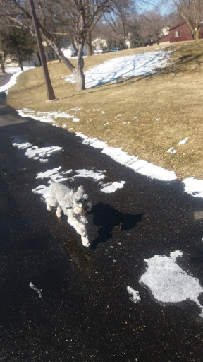 Park «Prestemon Park», reviews and photos, 3900 NE McKinley St, Columbia Heights, MN 55421, USA