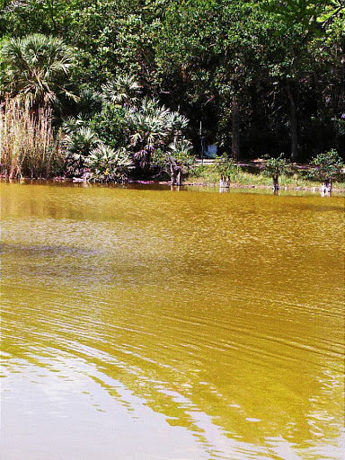 Park «Easterlin Park», reviews and photos, 1000 NW 38th St, Oakland Park, FL 33309, USA