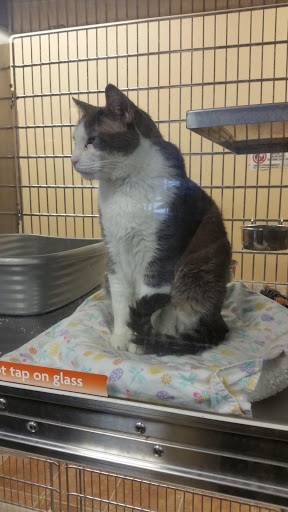 Pet Supply Store «PetSmart», reviews and photos, 573 N McKinley St, Corona, CA 92879, USA