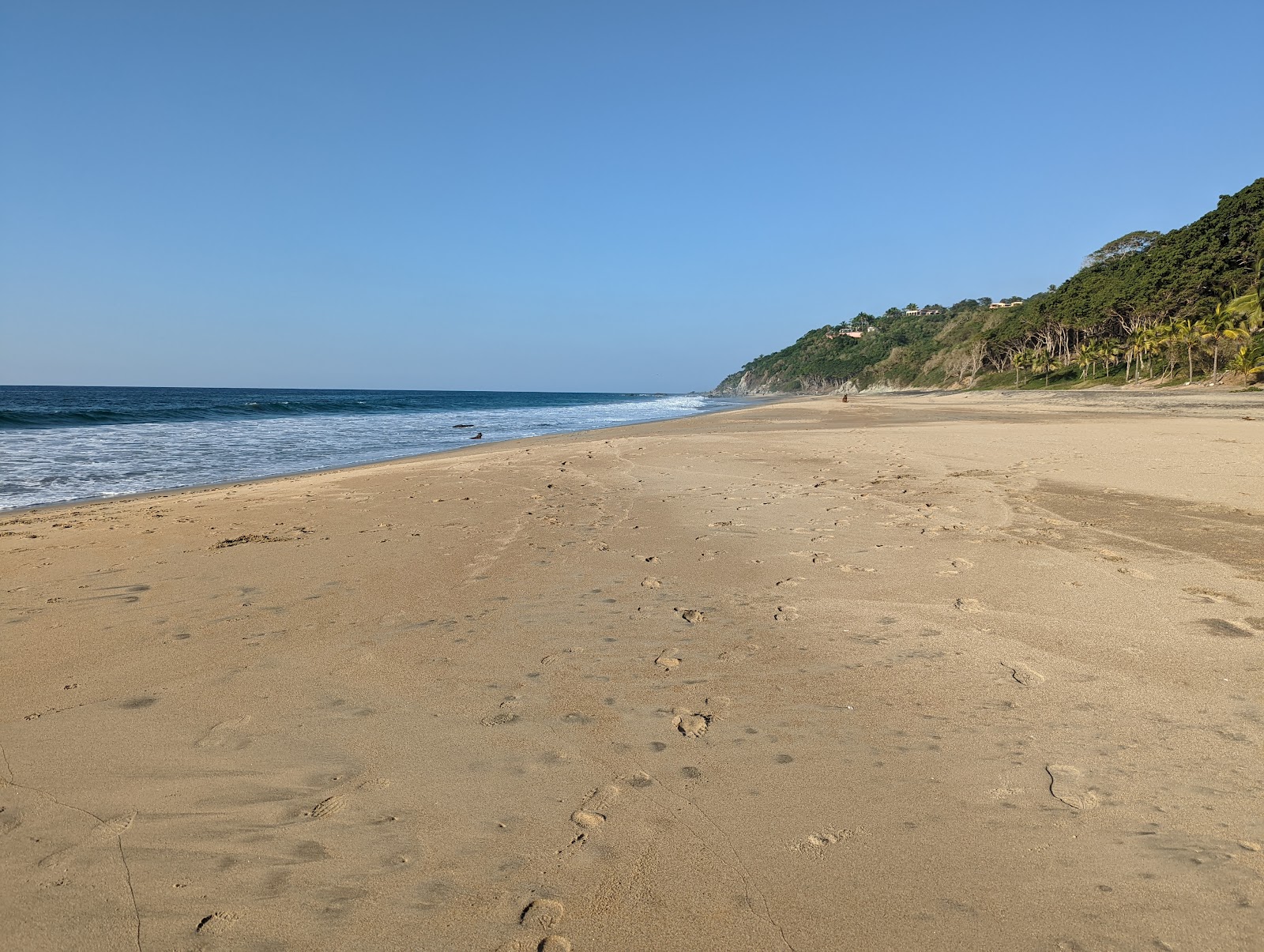 Fotografija Patzcuarito beach divje območje