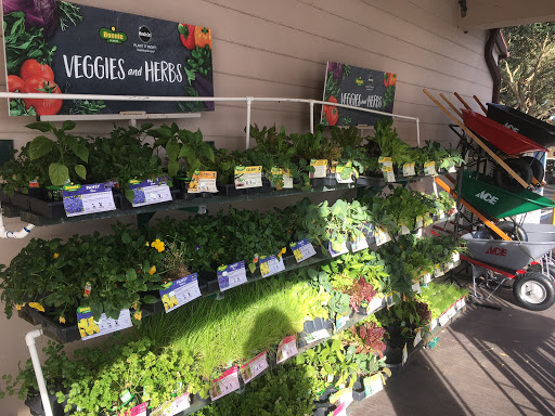 Hardware Store «Mount Dora Ace Hardware», reviews and photos, 18691 US-441, Mt Dora, FL 32757, USA