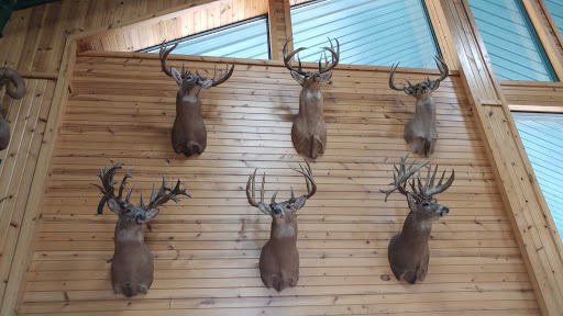 Sporting Goods Store «Midwestern Shooters Supply», reviews and photos, 191 Church St, Lomira, WI 53048, USA