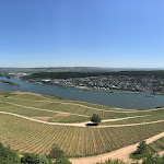 Photo n°3 de l'avis de Marco.a fait le 06/05/2018 à 15:24 sur le  Restaurant Am Niederwald à Rüdesheim am Rhein