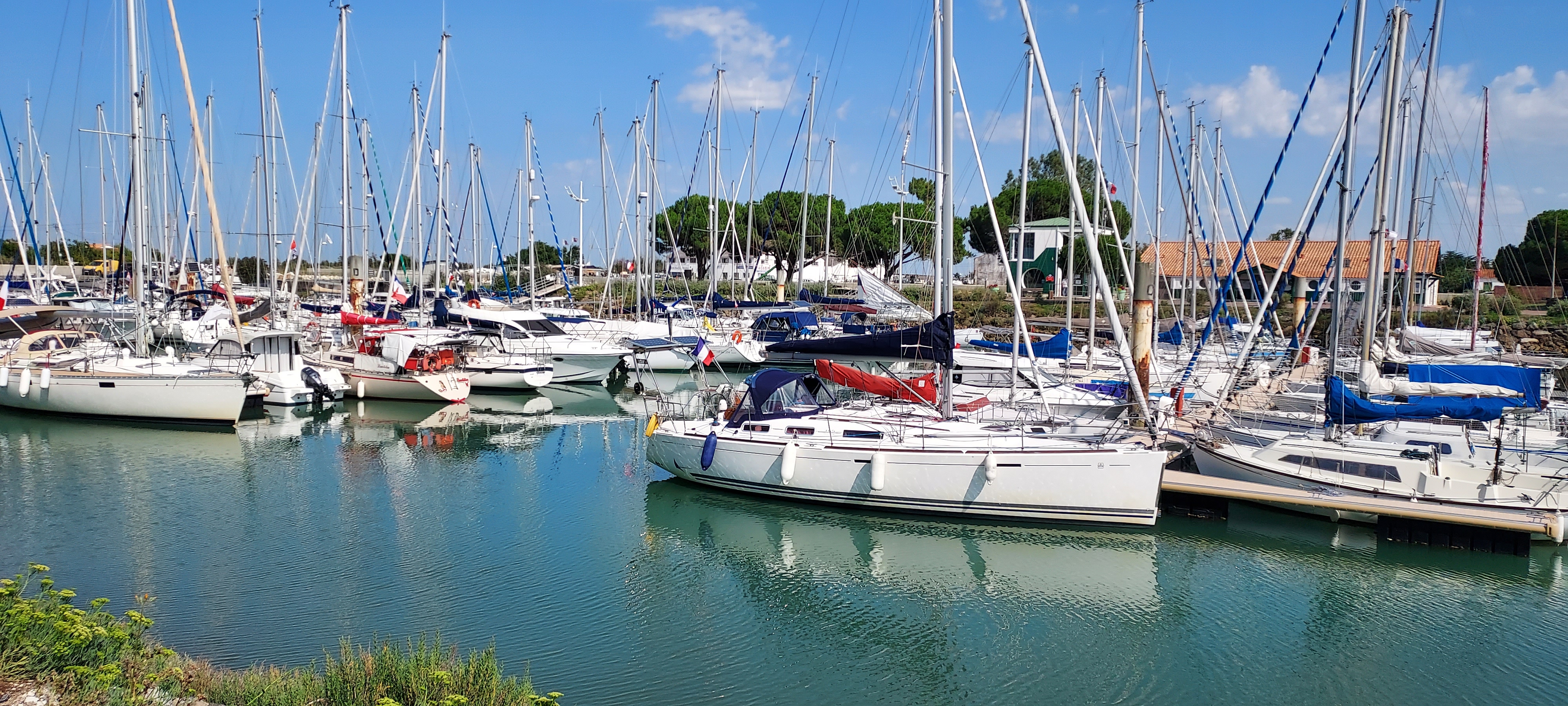 Photo n° 5 de l'avis de Lionel.E fait le 20/07/2021 à 19:34