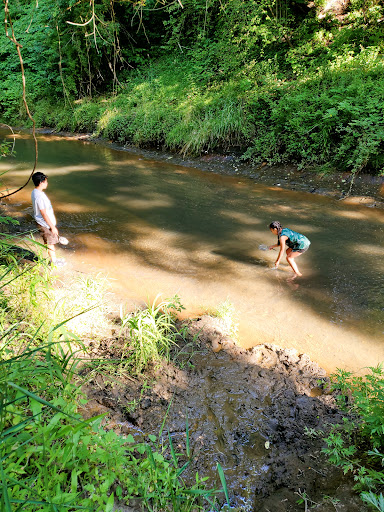 Nature Preserve «Big Brook Preserve», reviews and photos, 95 Hillsdale Rd, Colts Neck, NJ 07722, USA