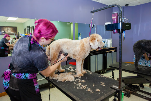 Pet Groomer «Hair Of The Dog», reviews and photos, 10850 W Laraway Rd STE 3E, Frankfort, IL 60423, USA