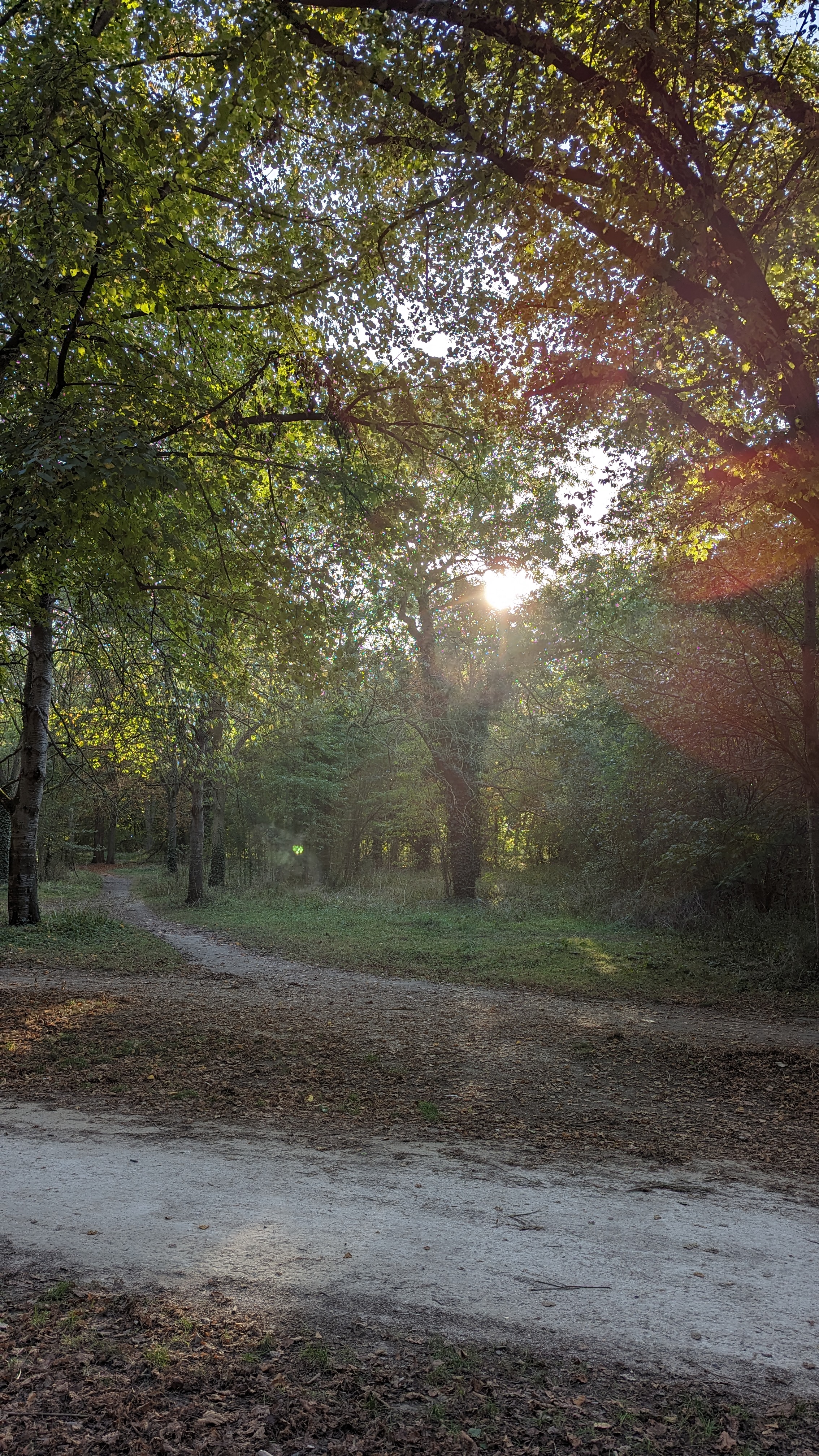 Photo n° 19 de l'avis de Alessandro.t fait le 09/03/2024 à 01:48