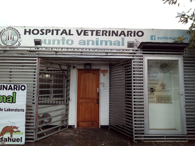 Clínica Veterinaria Punto Animal