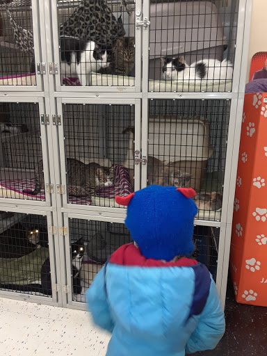 Pet Supply Store «Pet Supplies Plus», reviews and photos, 585 Moseley Rd, Fairport, NY 14450, USA