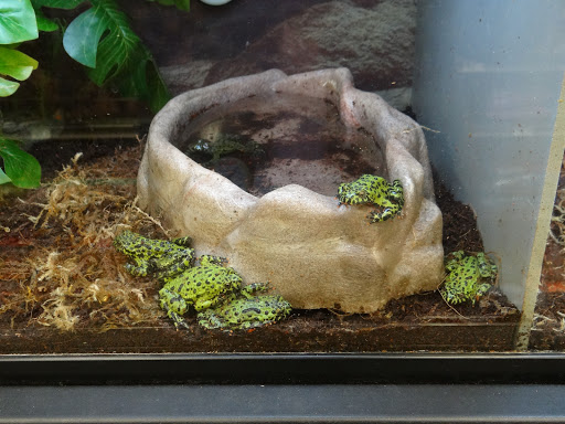 Pet Supply Store «Petco Animal Supplies», reviews and photos, 11331 W Broad St #151, Glen Allen, VA 23060, USA