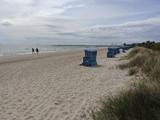 Damp Strand