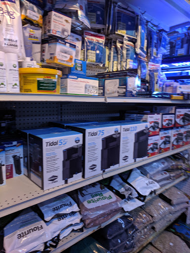 Pet Store «Aquarium Designs», reviews and photos, 15229 San Pedro Ave, San Antonio, TX 78232, USA