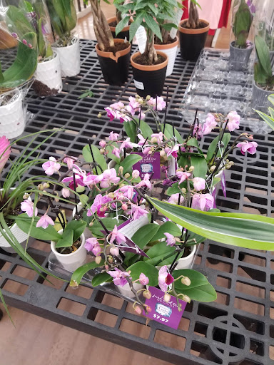 Discount Store «Walmart», reviews and photos, 839 US-130, East Windsor, NJ 08520, USA