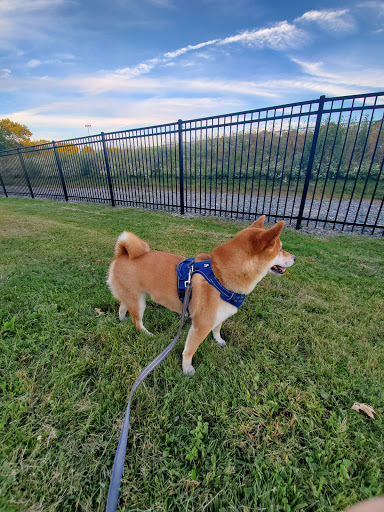 Park «Danehy Park», reviews and photos, 99 Sherman St, Cambridge, MA 02138, USA