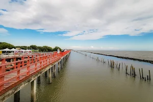 The Red Bridge (Dolphin Watching Area) image