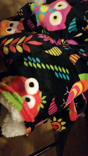 Fabric Store «Jo-Ann Fabrics and Crafts», reviews and photos, 751 N Columbia Center Blvd, Kennewick, WA 99336, USA