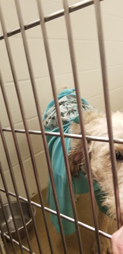 Non-Profit Organization «Heartland Humane Society», reviews and photos, 398 SW Twin Oaks Cir, Corvallis, OR 97333, USA