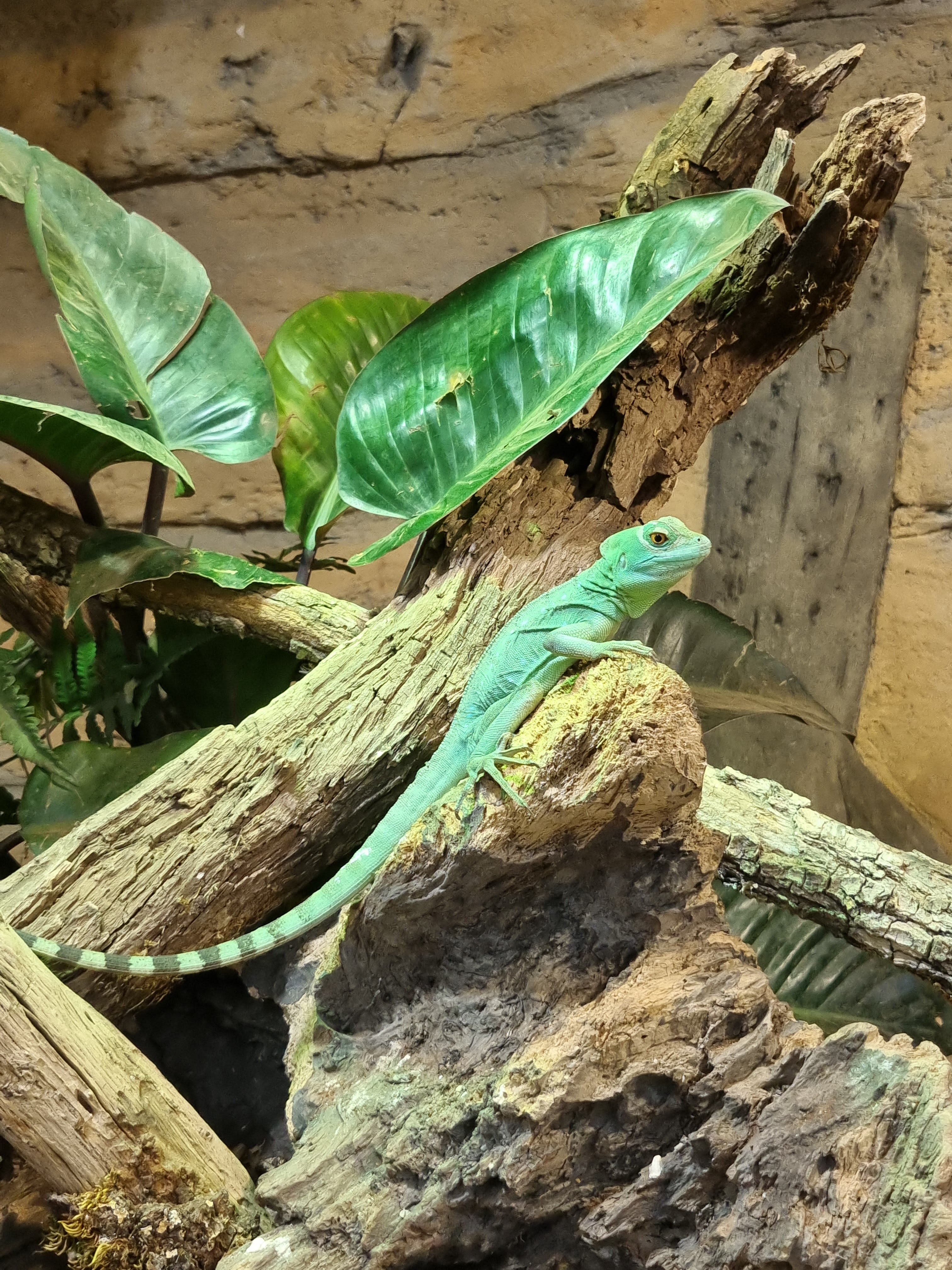 Photo n° 2 de l'avis de Zoé.o fait le 25/08/2023 à 10:24