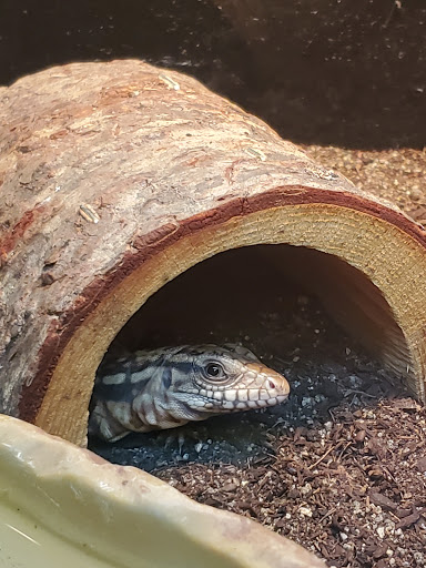 Pet Store «A Family Pet Center», reviews and photos, 6230 N Lockwood Ridge Rd, Sarasota, FL 34243, USA